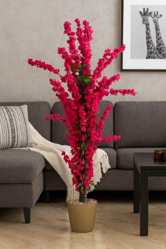 زهور ونباتات